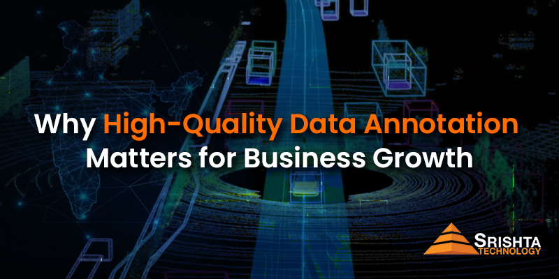 Why High-Quality Data Annotation Matters for Business Growth