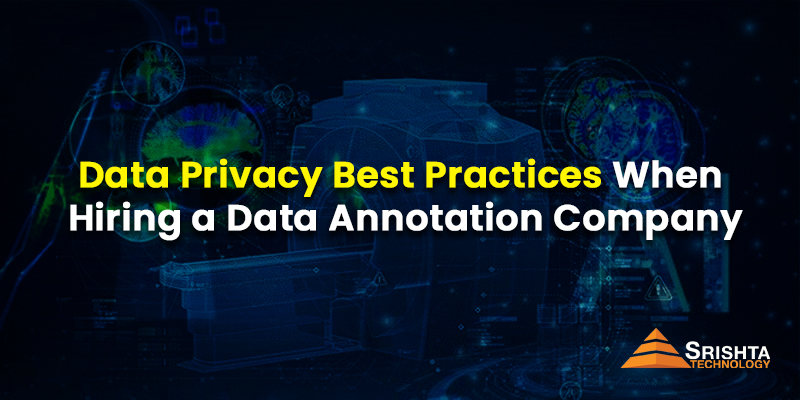 Data Privacy Best Practices When Hiring a Data Annotation Company