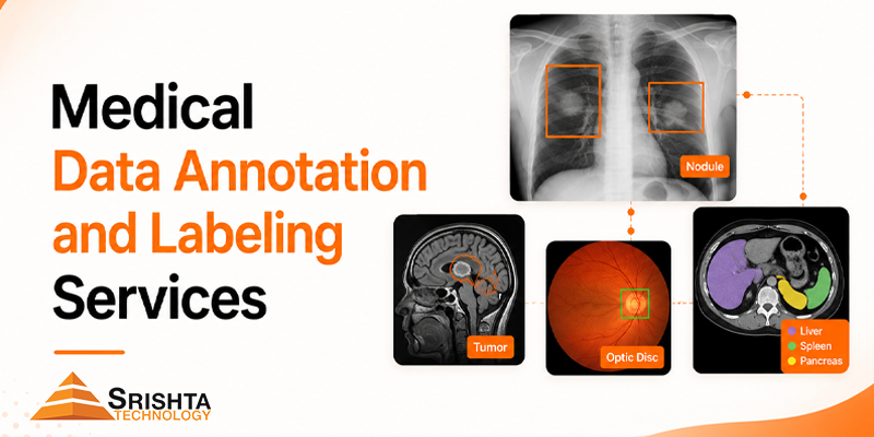 Medical Data Annotation and Labeling Services