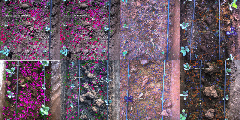 data annotation collage.png